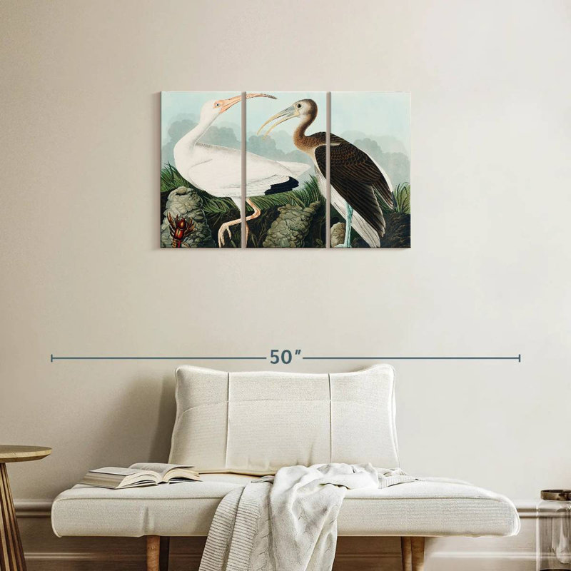 Brampt White Ibis, 20" H x 33" W