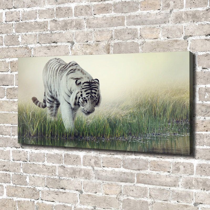 White Tiger - Wrapped Canvas Print, Canvas, 70cm H x 140cm W 