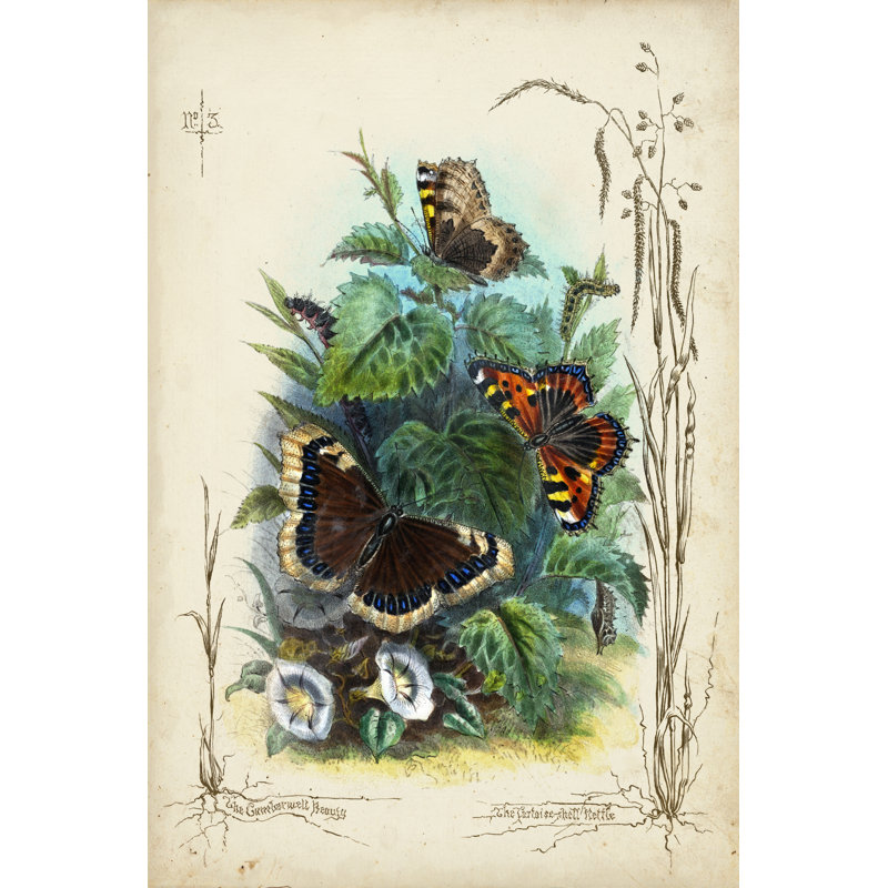 Victorian Butterfly Garden IV - Wrapped Canvas Print, 76cm H x 51cm W x 3.8cm D