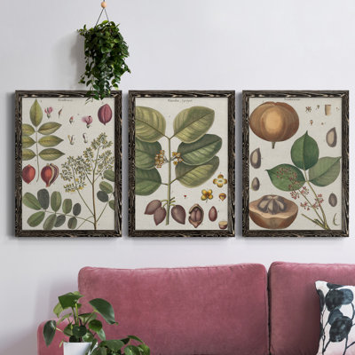 " Exotic Botanique I " 2 - Pieces Painting Print