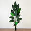 108 plantes