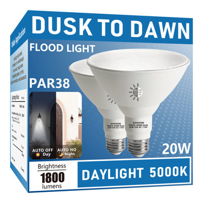Ampoules PAR38 DTD 5000K