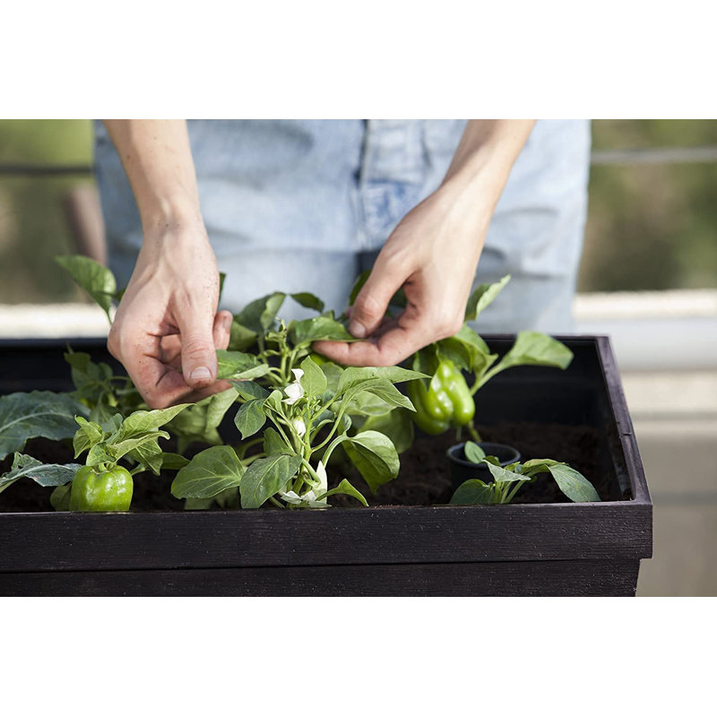 Dolans Planter Box