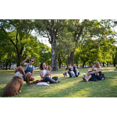 Les activités pour nos chiens de Fluxfactive