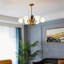 6 - Light Chandelier