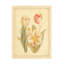 "Tulipe et papillons I"-105629065