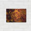 «Marigold Petals» par Leah McLean-1128880991