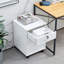 Danby 40cm Wide 1 -Drawer File Cabinet-1745565988