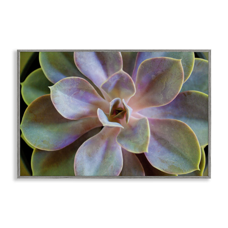 «Giclee Art» par Susan Bryant, Estampe numérique Farmhouse, H 16 po x l 24 po