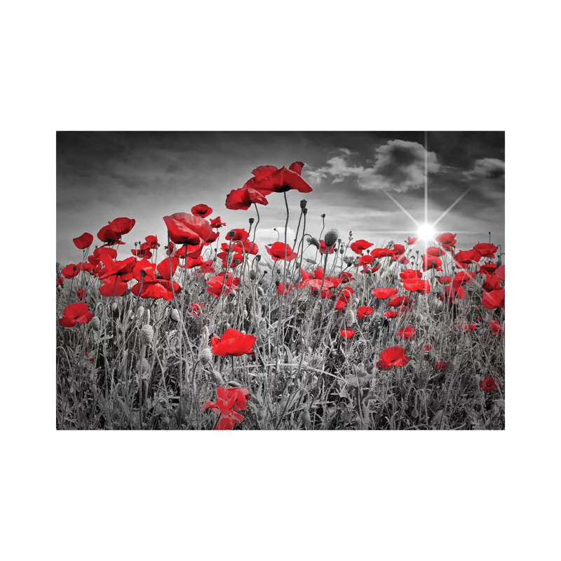 "Champ de coquelicots" par Melanie Viola-impression d’art graphique, Pas de tapis, Toile tendue, H 8 po x l 12 po x P 0,75 po