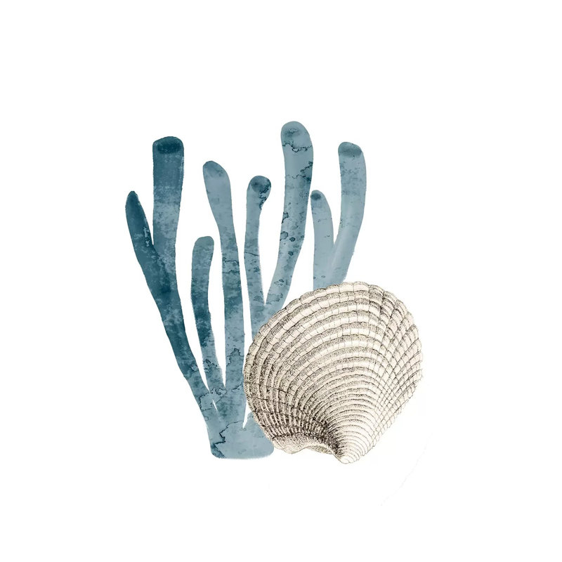 Coral Cove Blue IV by Kimberly Allen - Wrapped Canvas Print, 45.72 cm H x 45.72 cm W