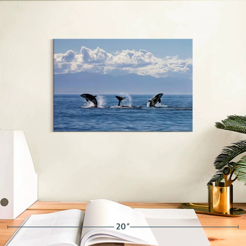 Brampt Lively Killer Whales, 8" H x 12" W
