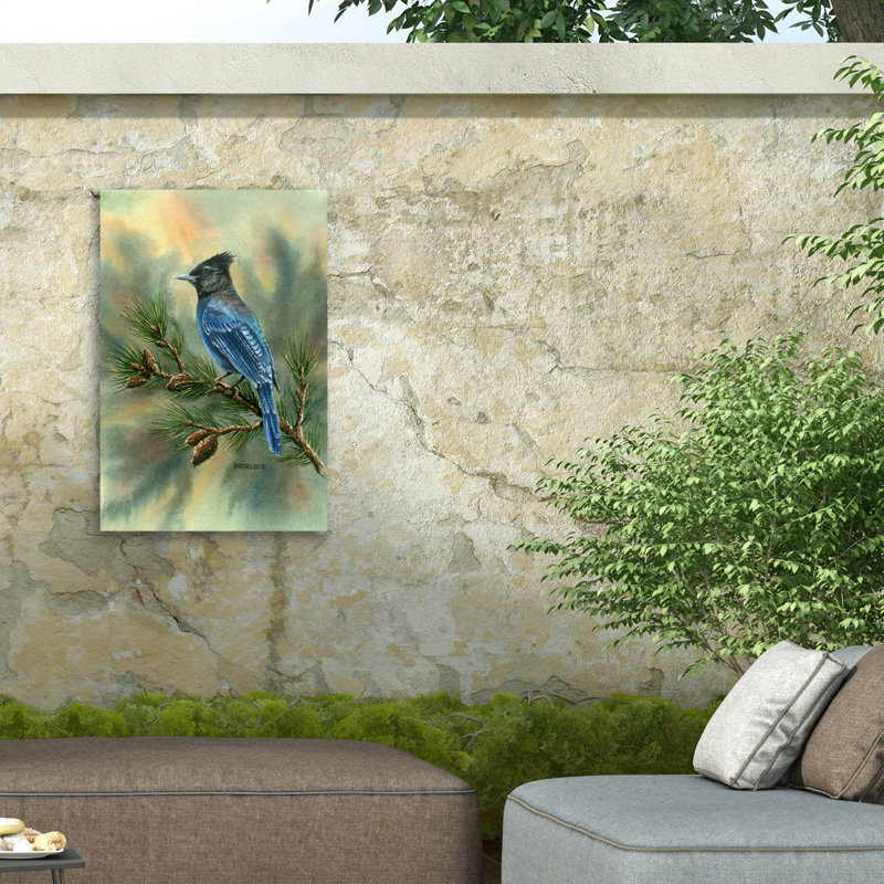 Toile d'extérieur Dave Bartholet Stellar Jay, H 12 po x l 19 po
