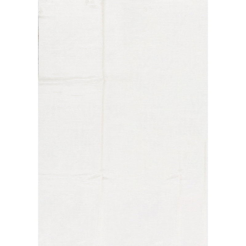 Hand-Knotted High-Quality Ivory Area Rug