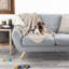 Couverture pour animaux-97771580-97771584