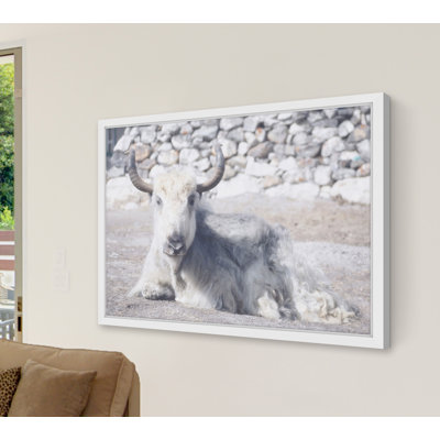 Parvez Taj - Single Picture Frame Print