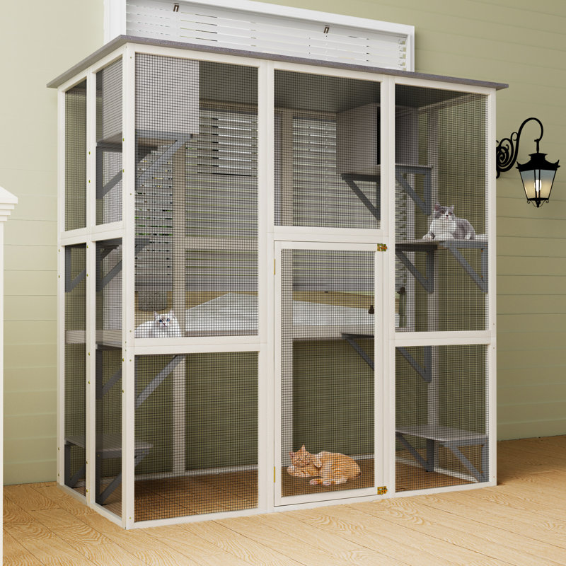 Enceinte d'extérieur pour chat en bois gris, toit en asphalte, 6 plateformes, 2 espaces de sieste, - Design centré