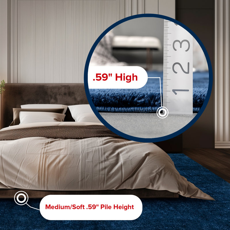 Loni Solid Machine Washable Shag Area Rug for Living Room Bedroom Dining Room Nursery, Rectangle 4' x 6'