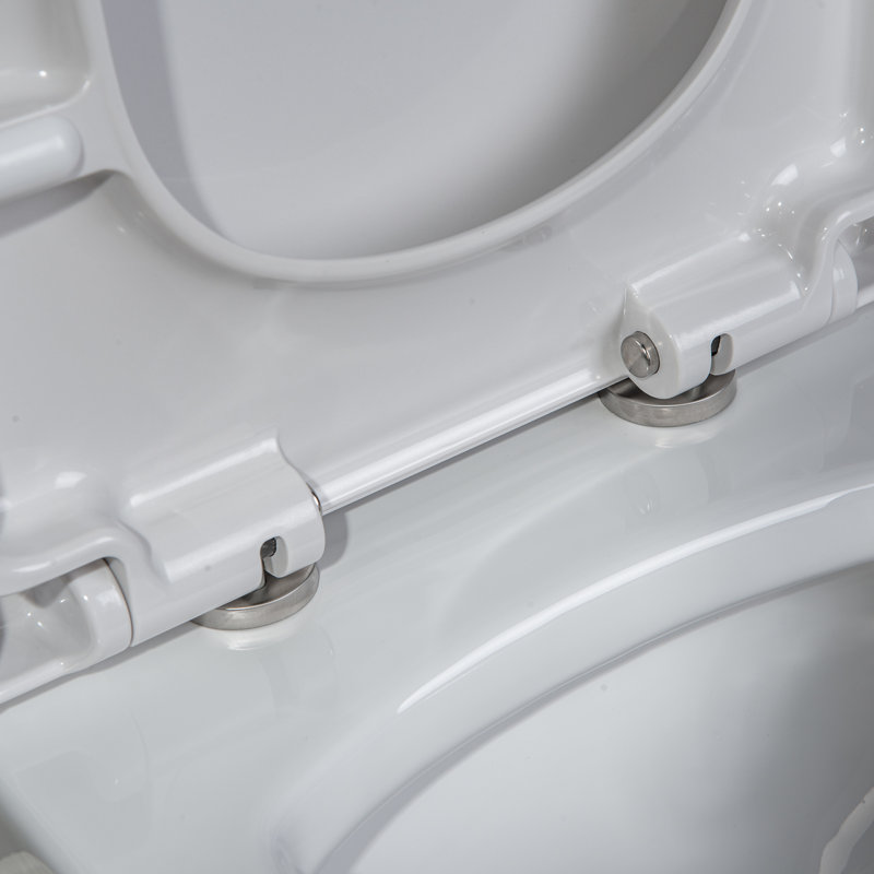 Dual-Flush Elongated One-Piece Toilet, Oil Rubbed Broze
