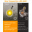 Ambarisha 950cm Solar Powered 16 - Bulb Festoon Lights String Light