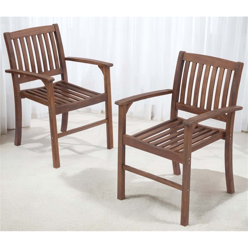 Ensemble de 2 chaises d'extérieur en bois massif brun