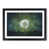 Black Framed selected