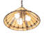 16" Wide Belvidere Pendant