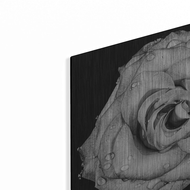 «A Love Lost» par Donnie Quillen, H 12 po x l 12 po