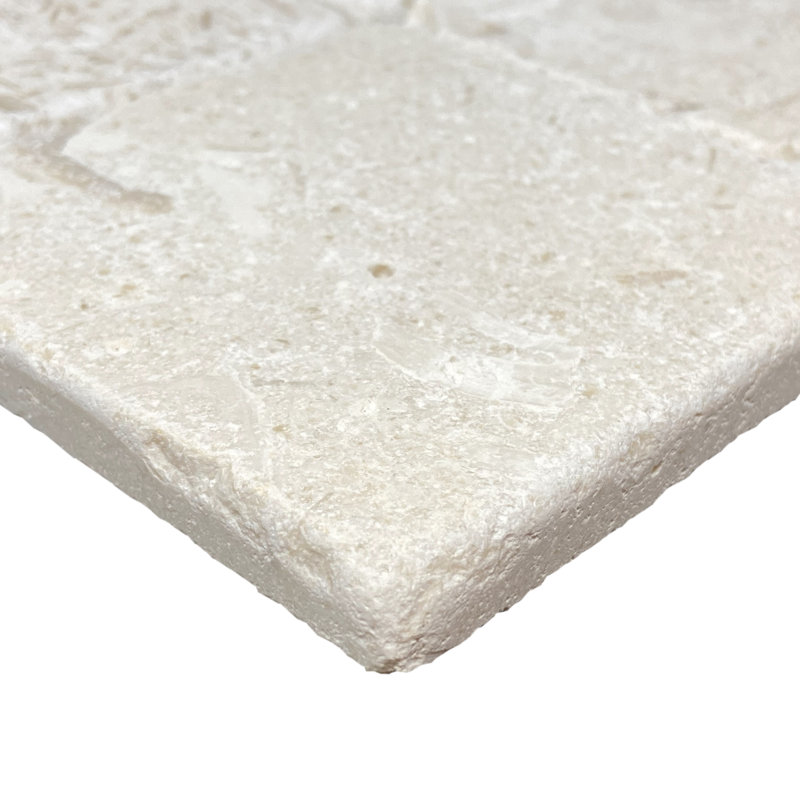 Fossil Stone 4" x 4" Limestone Tile