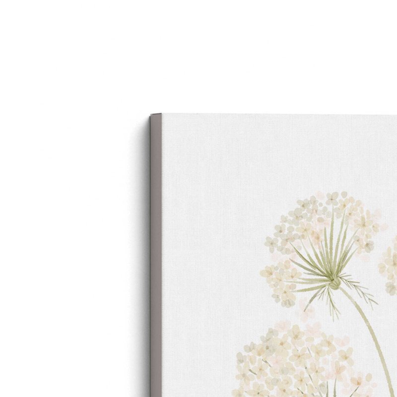 «Anne's Lace II» par House Fenway, reproduction d'art, L 24 po x H 32 po, Ne s’applique pas, Toile tendue