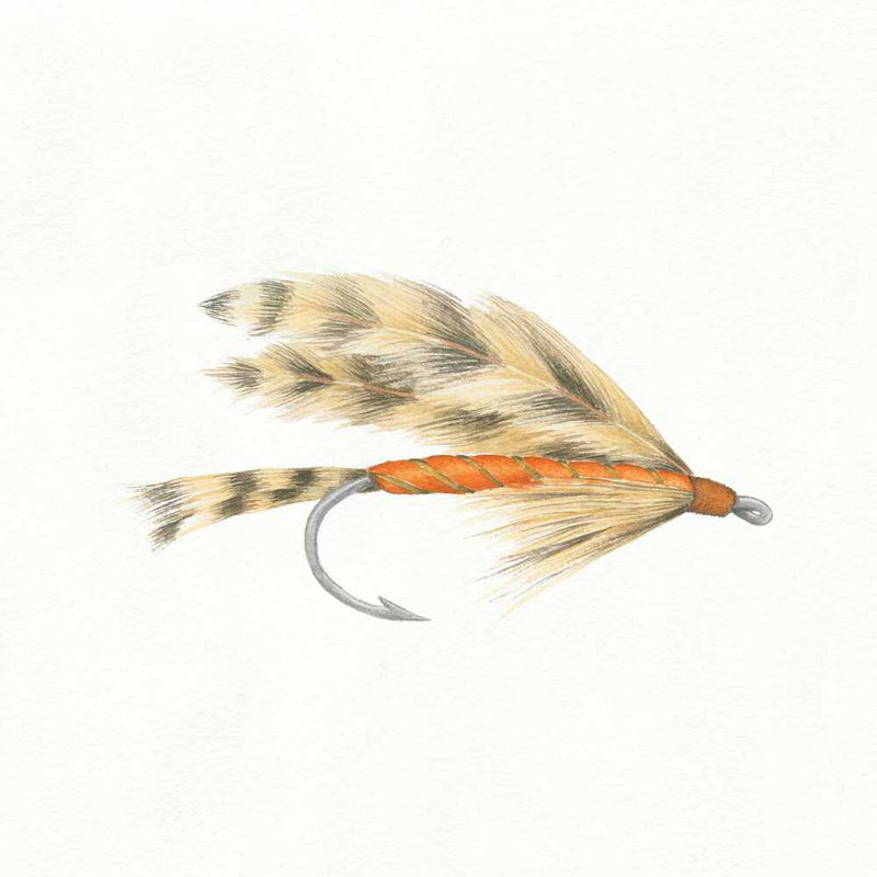 " Gone Fishin VI " by Wild Apple Portfolio Painting Print, 36" H x 36" W