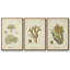 «Earth Gravure I», ensemble de 3 toiles encadrées-97795219-97795220