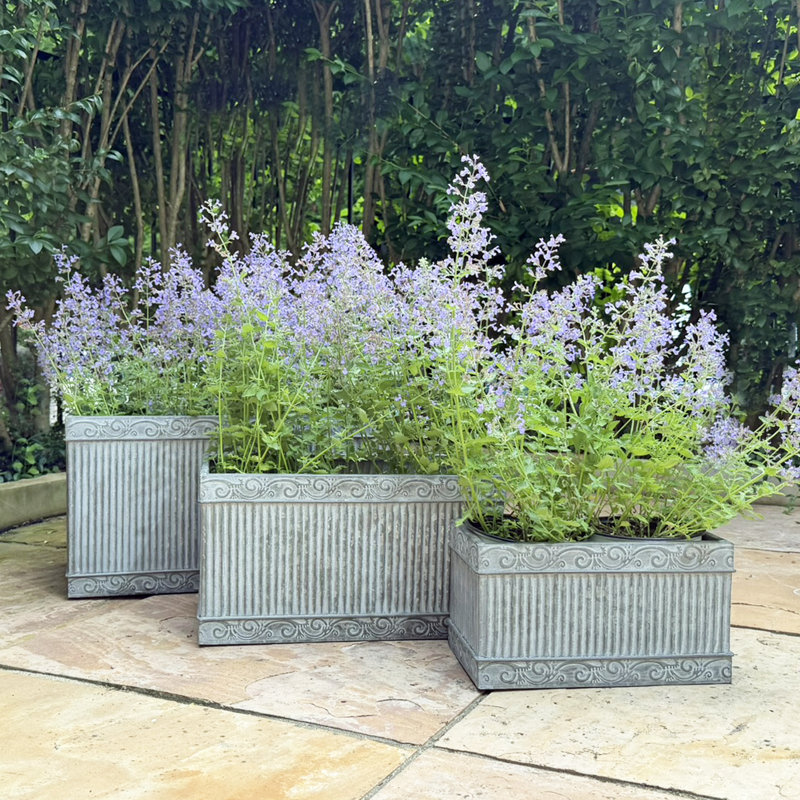 Ensemble de 3 pots à fleurs rectangulaires de 19,75 po Merton Acanthus