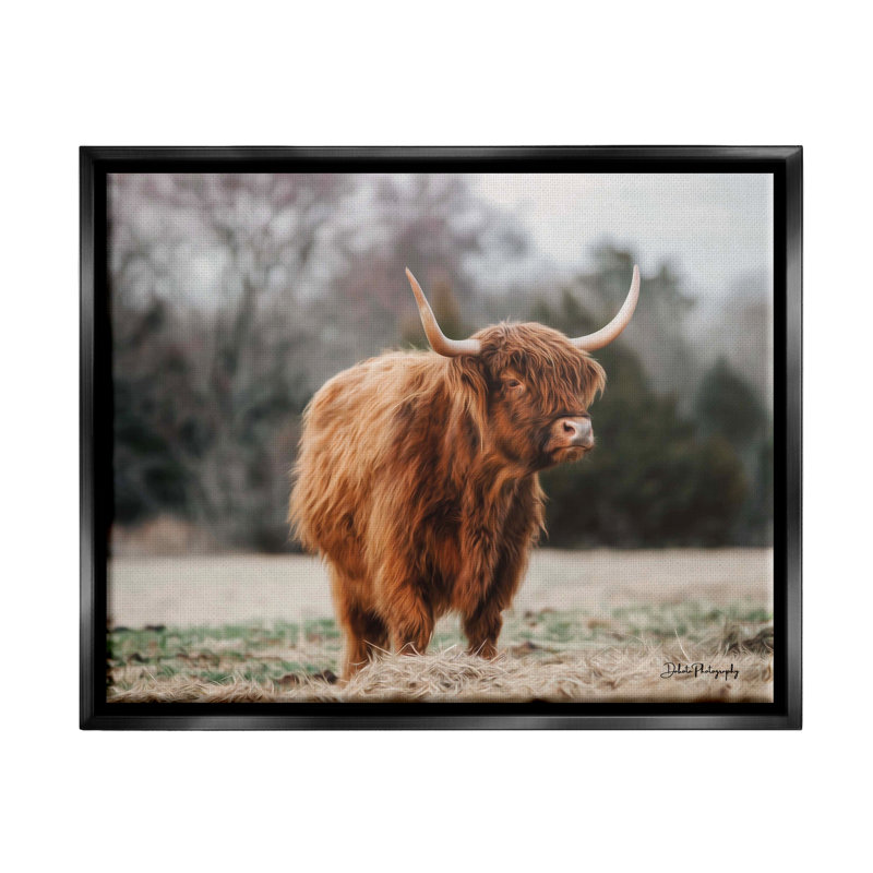 «Serene Highland C bestton» par Dakota Diener - reproduction de cadre flottant sur toile, H 30 po x l 40 po x P 1,5 po