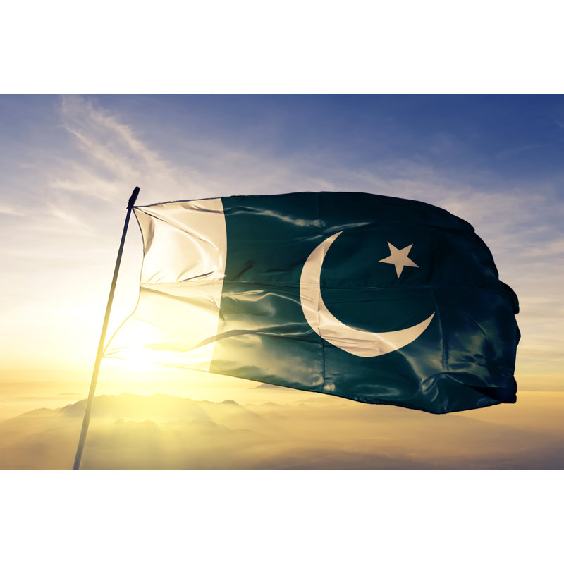 Pakistani Flag by Oleksii Liskonih - Wrapped Canvas Print, 30cm H x 46cm W x 3.8cm D
