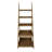 Vanesa Ladder Bookcase