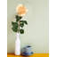 Arrangement de roses