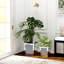 Handmade Mirrored Glass Planter Box-1806606144