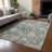 Machine Washable Indoor/Outdoor Francky ACN2355 Traditional Rug-1428505672