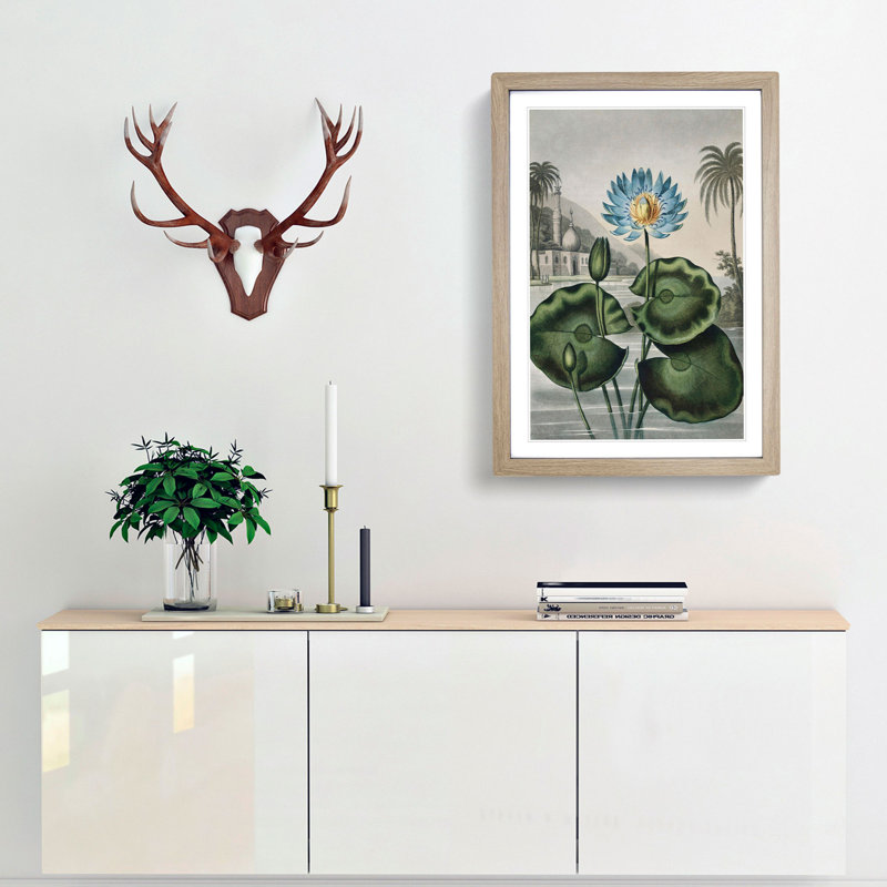Blue Egyptian Water Lily by R.J. Thornton - Picture Frame Art Print, Oak Framed, 65cm H x 48cm W x 2cm D