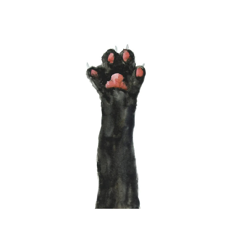 Black Cat Paw by Alexey Dmitrievich Shmyrov - Wrapped Canvas Panoramic Print, 30.48 cm H x 91.44 cm W x 3.175 cm D