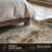 Abhinav Performance Cowhide Animal Print Indoor Rug