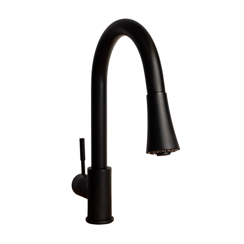 Edison Single Handle Kitchen Faucet with Side Spray and Accessories, Matte Black
