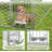 Dog Kennel Outside 10x10 FT  with Rotating Feeder Bowls