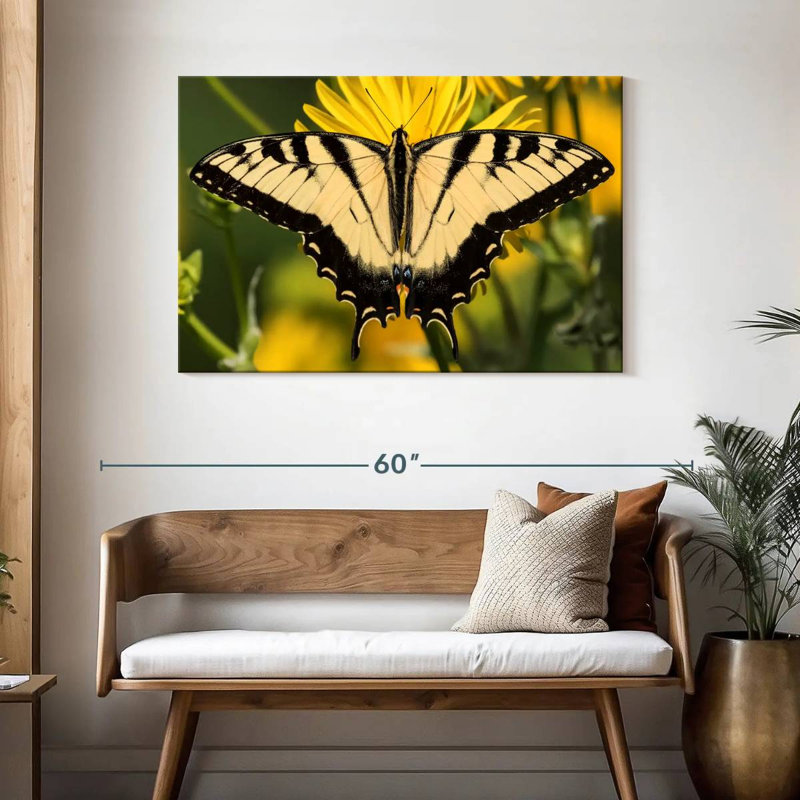 Machaon, pourquoi ?, H 30 po x l 45 po
