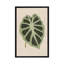 «Leaves on Linen II», impression sur toile-72228505-72228504-72228510