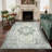 Roehit Performance Machine Washable Green / Beige Area Rug with Non-Slip Rug Pad-1521788664-1521788663