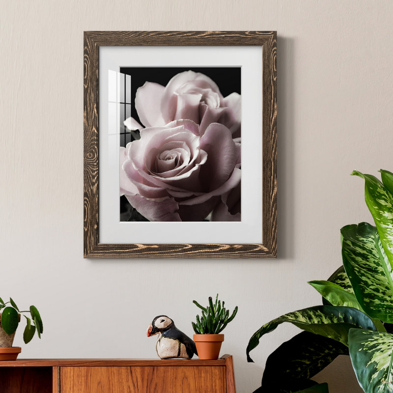 Rose noire II - photographie, Papier, cadre noyer, H 44 po x l 31 po x P 1 po