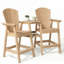 Ensemble de chaises hautes en PEHD Adirondack avec plateaux doubles amovibles (ensemble de 2)-188184637