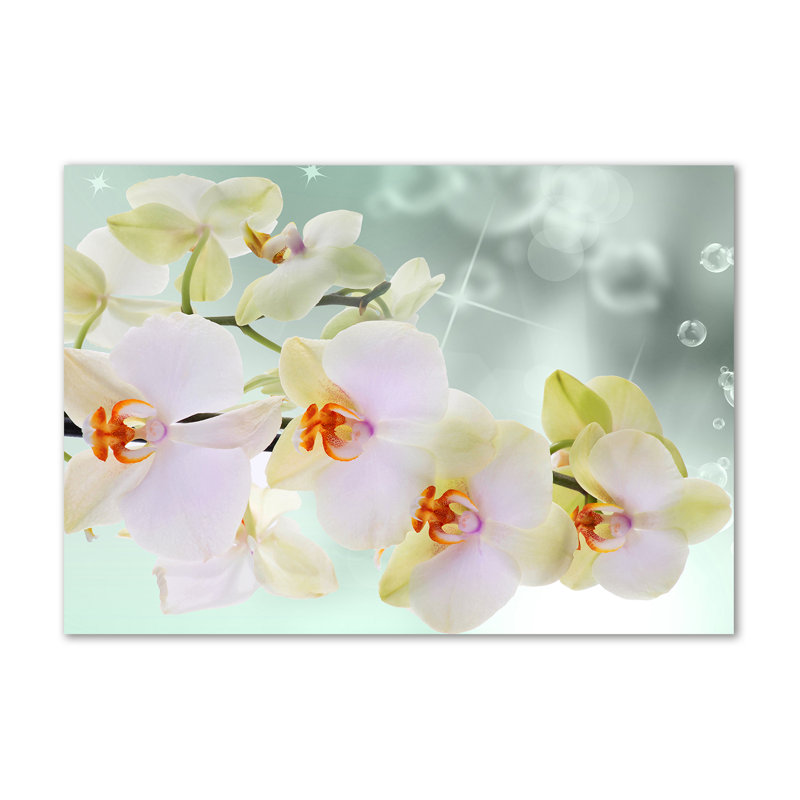 White Orchid - No Frame Print on Canvas